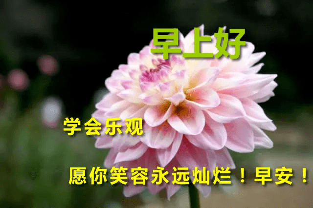 夏季早上好最美早安温暖人心问候句子精美的早安问候语图片