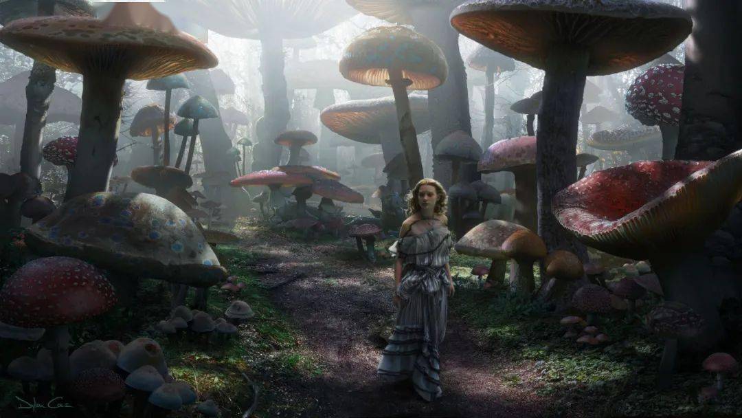 95后广东女孩用200斤"垃圾"造蘑菇屋,一个人住进童话里_树洞