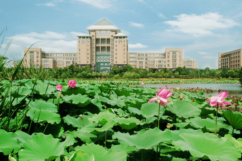 你好这里是武汉科技大学