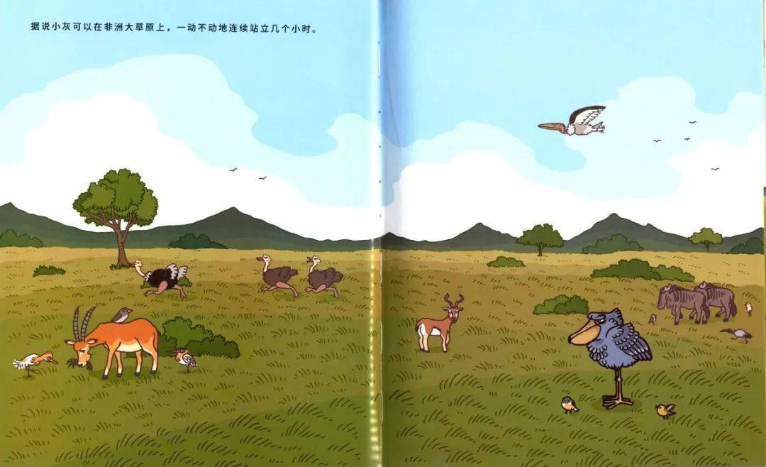 有声绘本图图姐姐喊你听故事被嘲笑的大嘴鸟