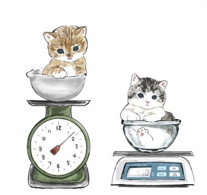 怎么会是这样嗯?谁来救救我.这是我的腰围吗?啊6.