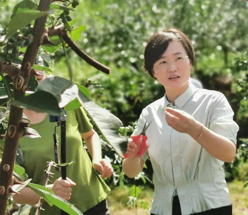 火爆县领导组团直播看他们推介的啥