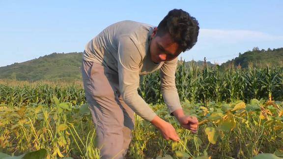 这农村小伙做事很勤快就是一直找不到老婆真搞不懂