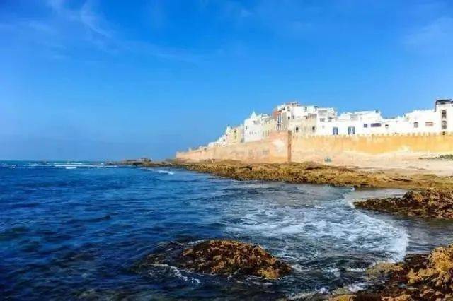 尼日利来王先生