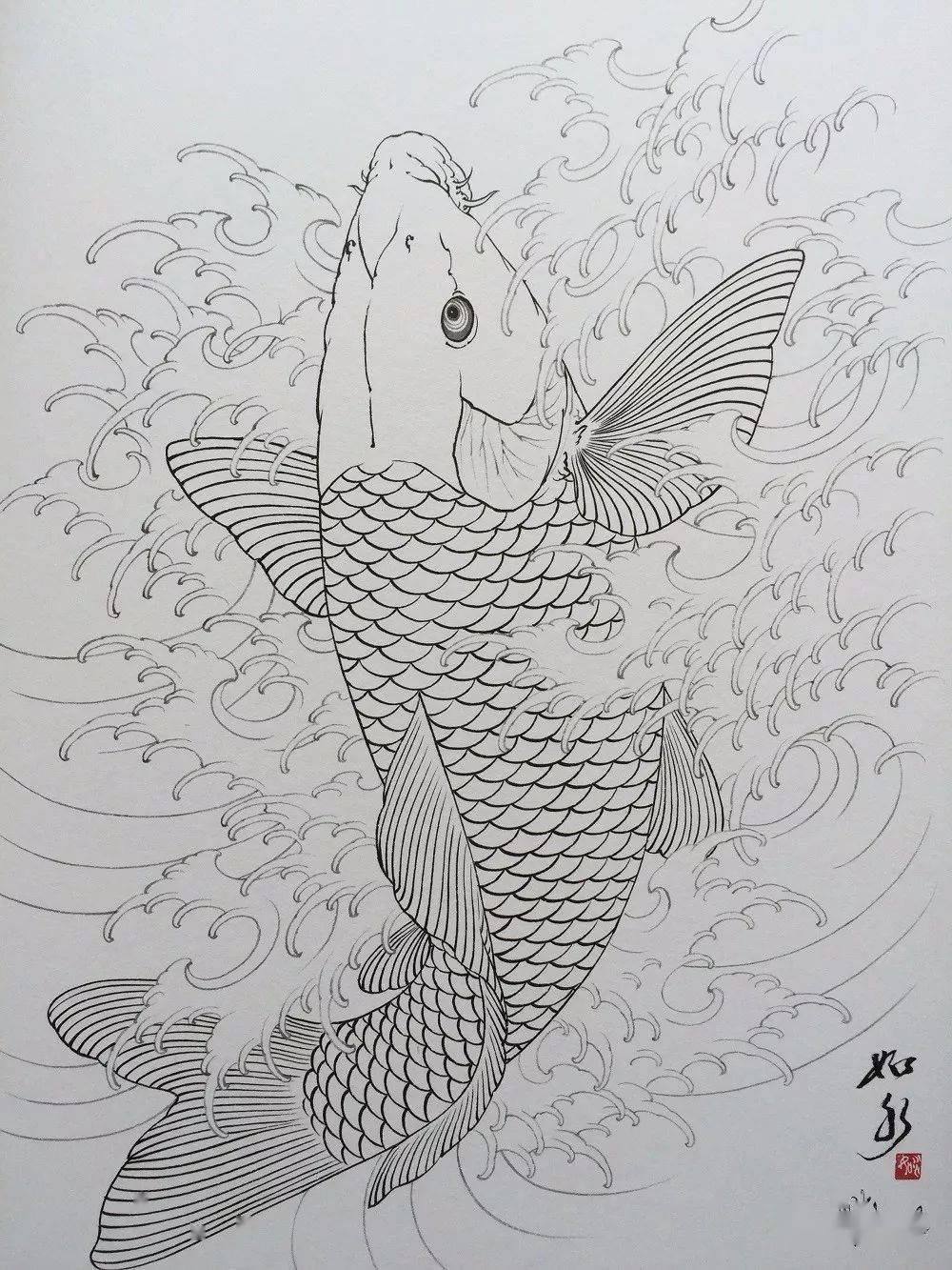 鲤鱼画法铅笔图片