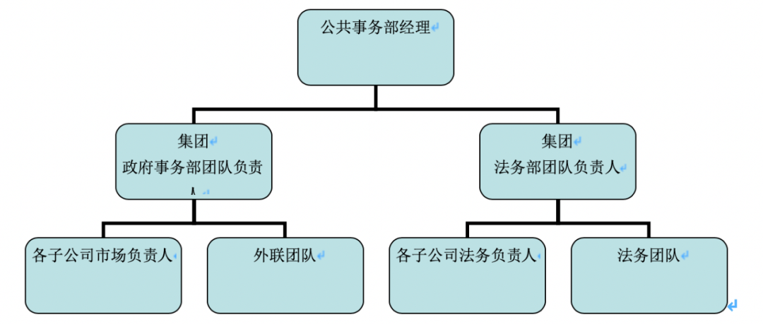 创造有利于企业发展的政策环境;依托政府关系,为下属公司的业务部门