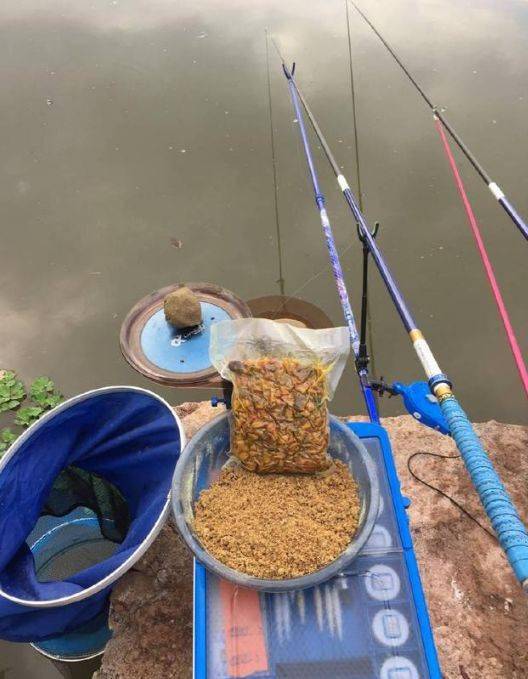 钓鱼打窝无需墨守成规,钓鱼人独创5种窝料,夏季钓鱼特靠谱