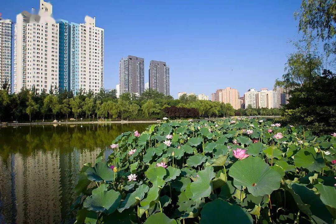 免費公園 地址 興慶宮公園 西安市碑林區咸寧西路北 革命公園 新