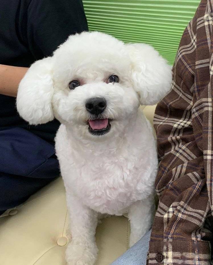 吴vivi《on me》mv拍摄花絮可爱来袭!