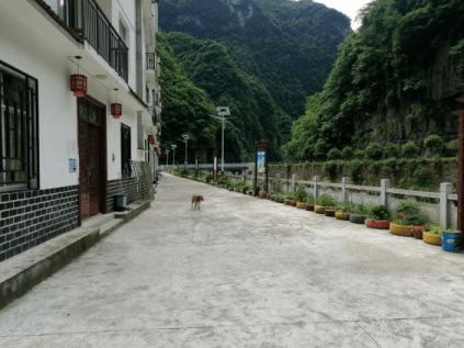 变废为宝轮胎替代泡沫盒积极向村民宣传政策木鱼村摇篮沟老党员曾兴敏