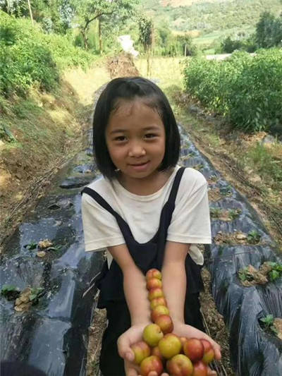 王女士介绍,她的女儿就读于砚山县平远浦草小学