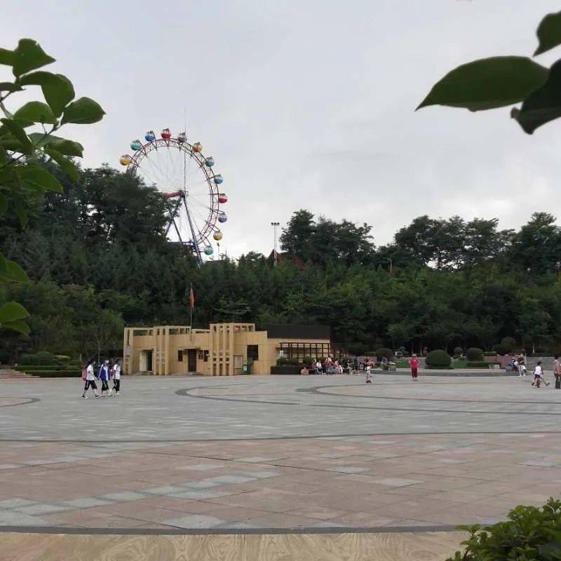 《帽盔山公園廣場一角》7月13日——在水一方《雨中行》7月13日拍於五