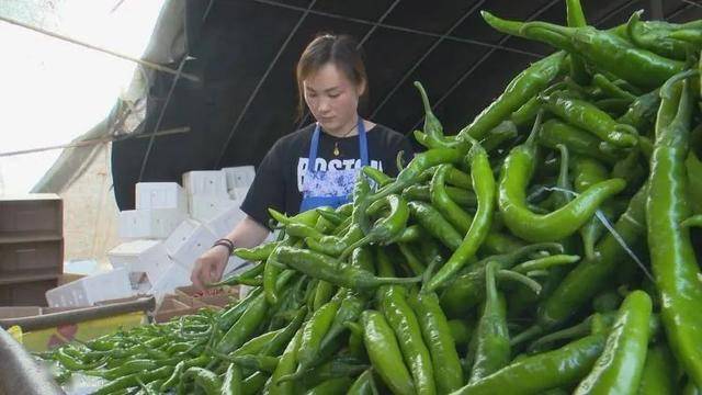 一提到刘继进,当地很多人都会竖起大拇指,他是乡亲们眼中的能人.