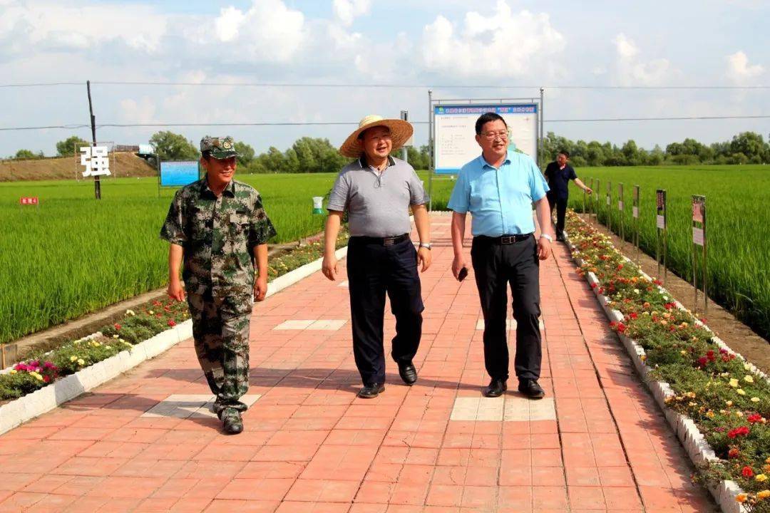 北大荒农垦集团哈尔滨有限公司党委书记董事长陈玉林陪同集团农业发展