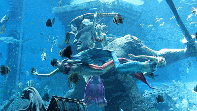 400_226gif 动态图 动图