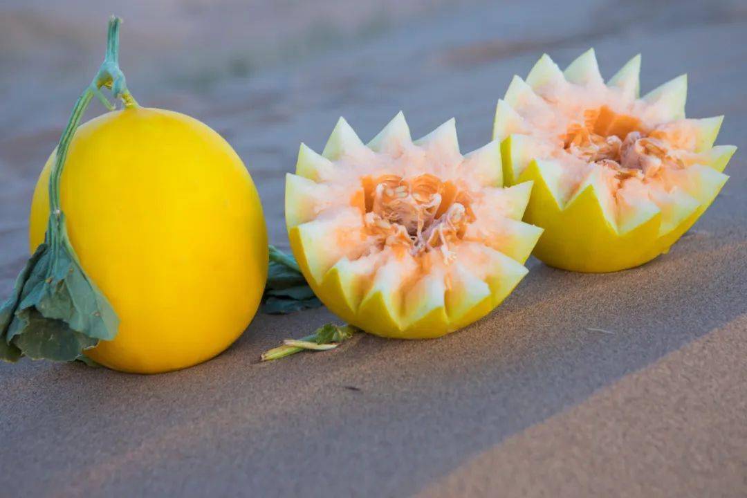 18甜的解暑蜜瓜绵软多汁清甜不腻让你一口惊艳的蜜瓜界黑马