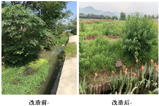 莲都生态拦截沟渠建设唤醒"生态新风"!