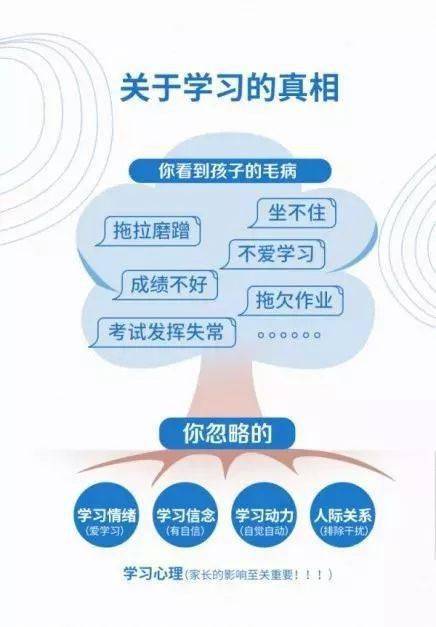 期末考试成绩差?暑期一个训练计划让孩子学会学习…_能力