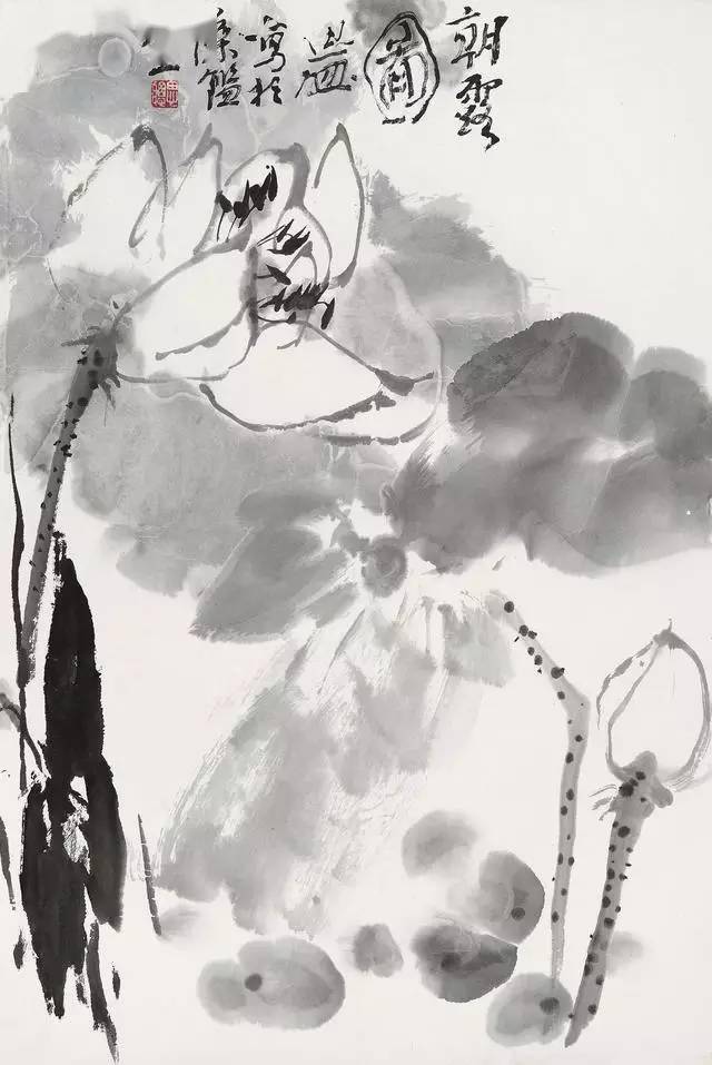 周思聪画荷:清凉一夏_荷花