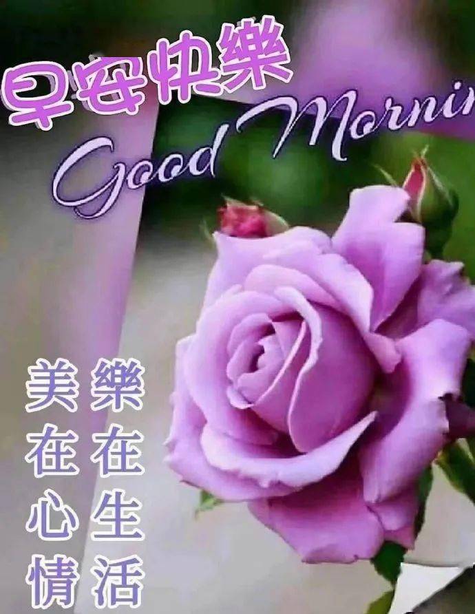早上好问候美图早安问候语句