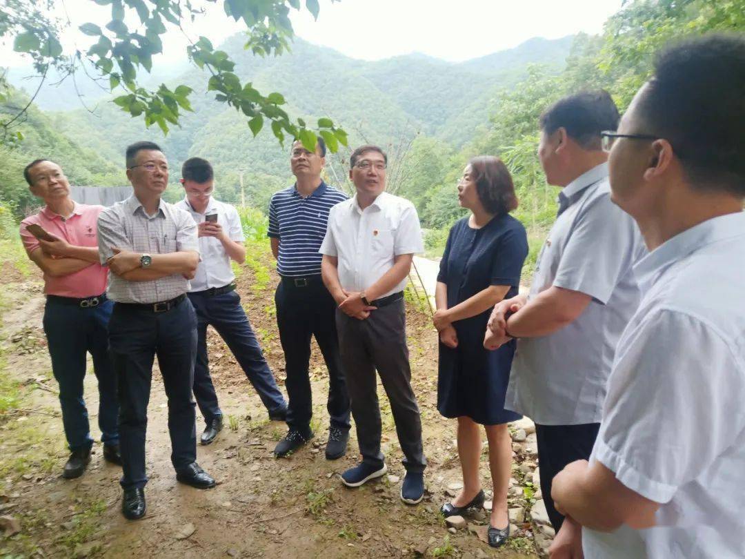 范里镇关道村黄精种植基地,产业集聚区中康中药饮片有限公司,三门峡