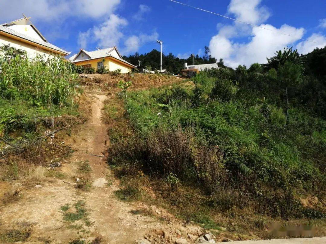 上海帮扶助南栅村蚕桑产业脱贫走出新丝路