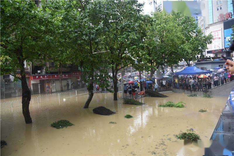 湖北恩施:暴雨持续 州城多处低洼地被淹