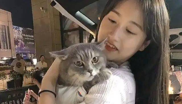 这只抗拒摆摊的猫在被一群小姐姐亲过后现在天天主动要求出摊