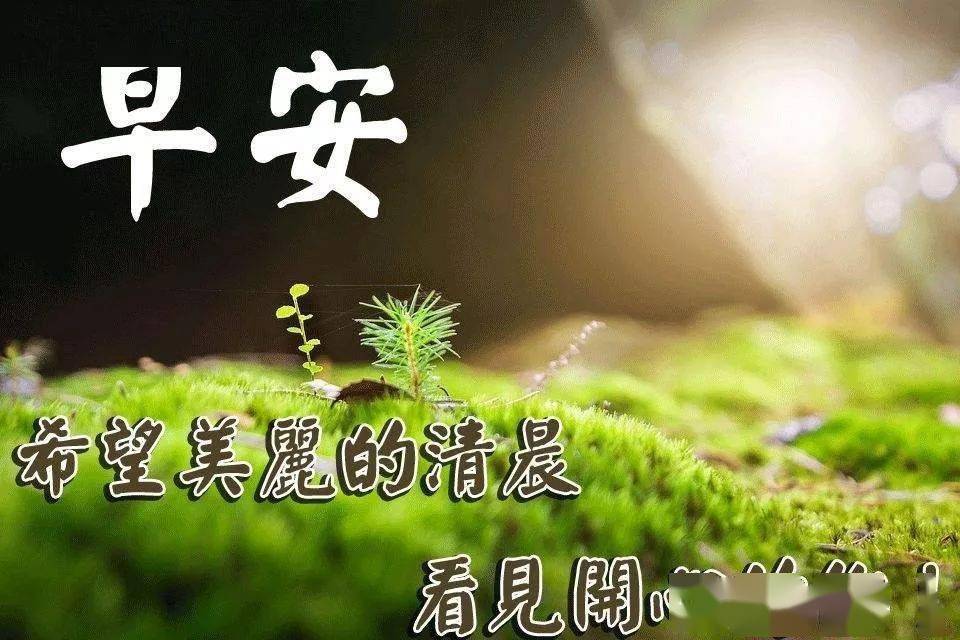 夏季最暖心的早上好問候語早晨好問候祝福表情圖片大全