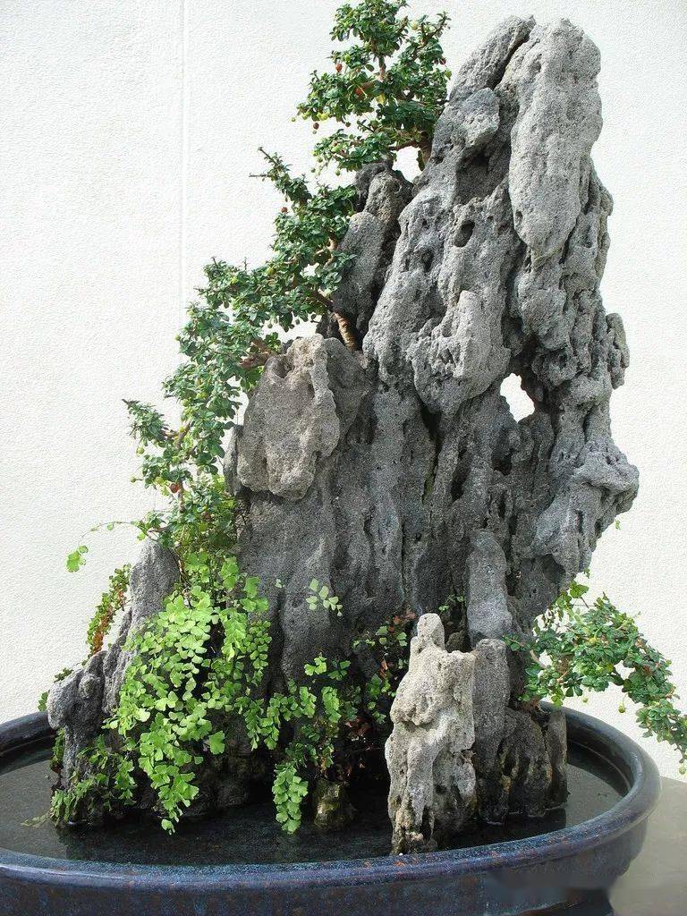 石上盆景,绝美!_山石