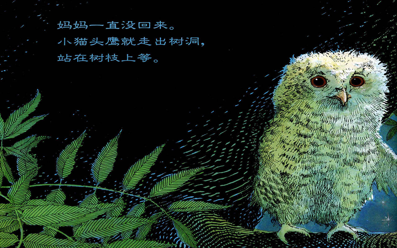 儿童绘本故事推荐《小猫头鹰》
