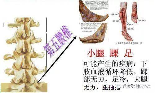 抻筋拔骨:俗话说得好"老筋太短,寿命难长"抻筋一寸,寿涨十年!
