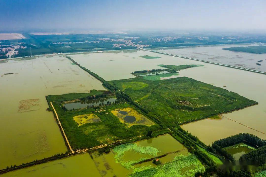 e家讲述济南最大的天然湿地烟波浩渺白云湖