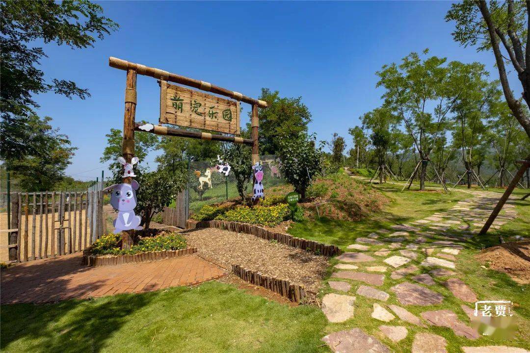 即日起全面启动