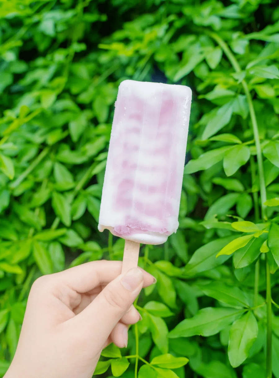 抚州童年冰棒图鉴哪些能勾起你的童年记忆