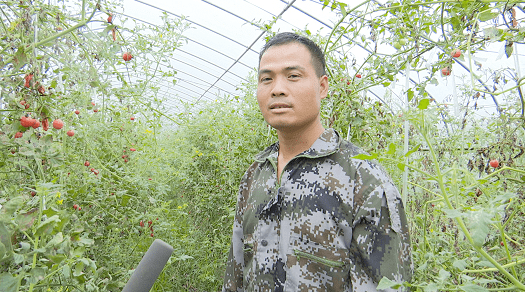 技术员何玉平告诉记者,基地主要采用生态农业的种法,用的肥料都是自制