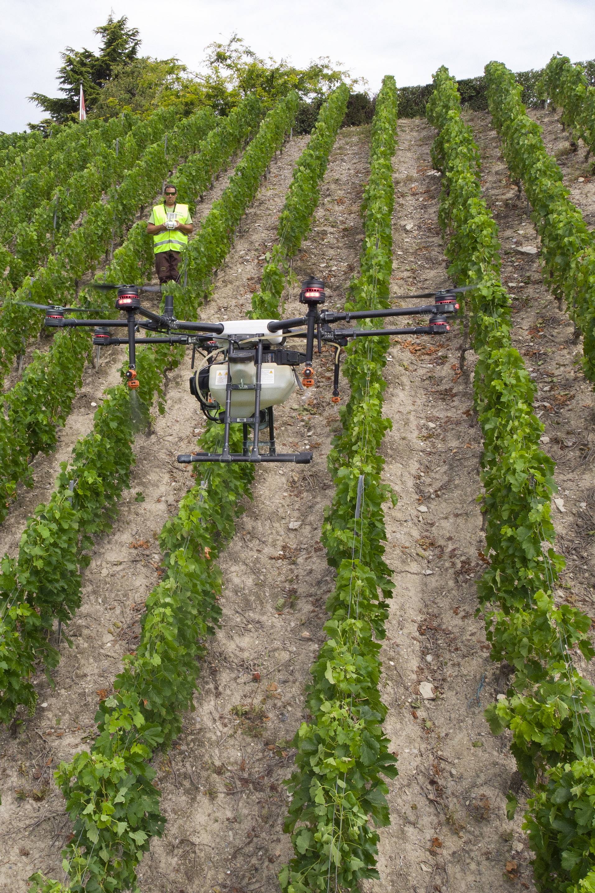 瑞士:运用无人机喷洒农药
