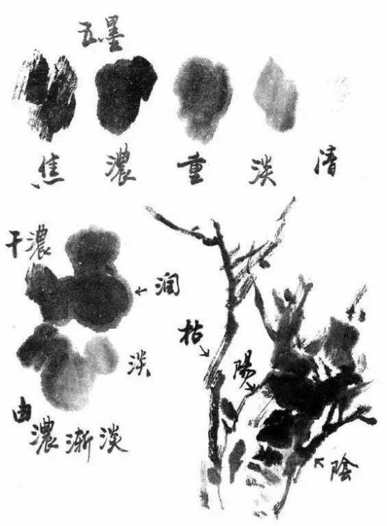 国画中墨的特点及使用方法