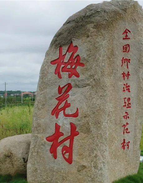 有着花一样的名字,这个村是衡阳县的"后花园"(附高清航拍)_梅花村