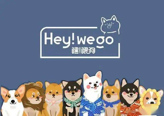 昆明hey we go柴犬狗咖带着七只狗子到达战场!