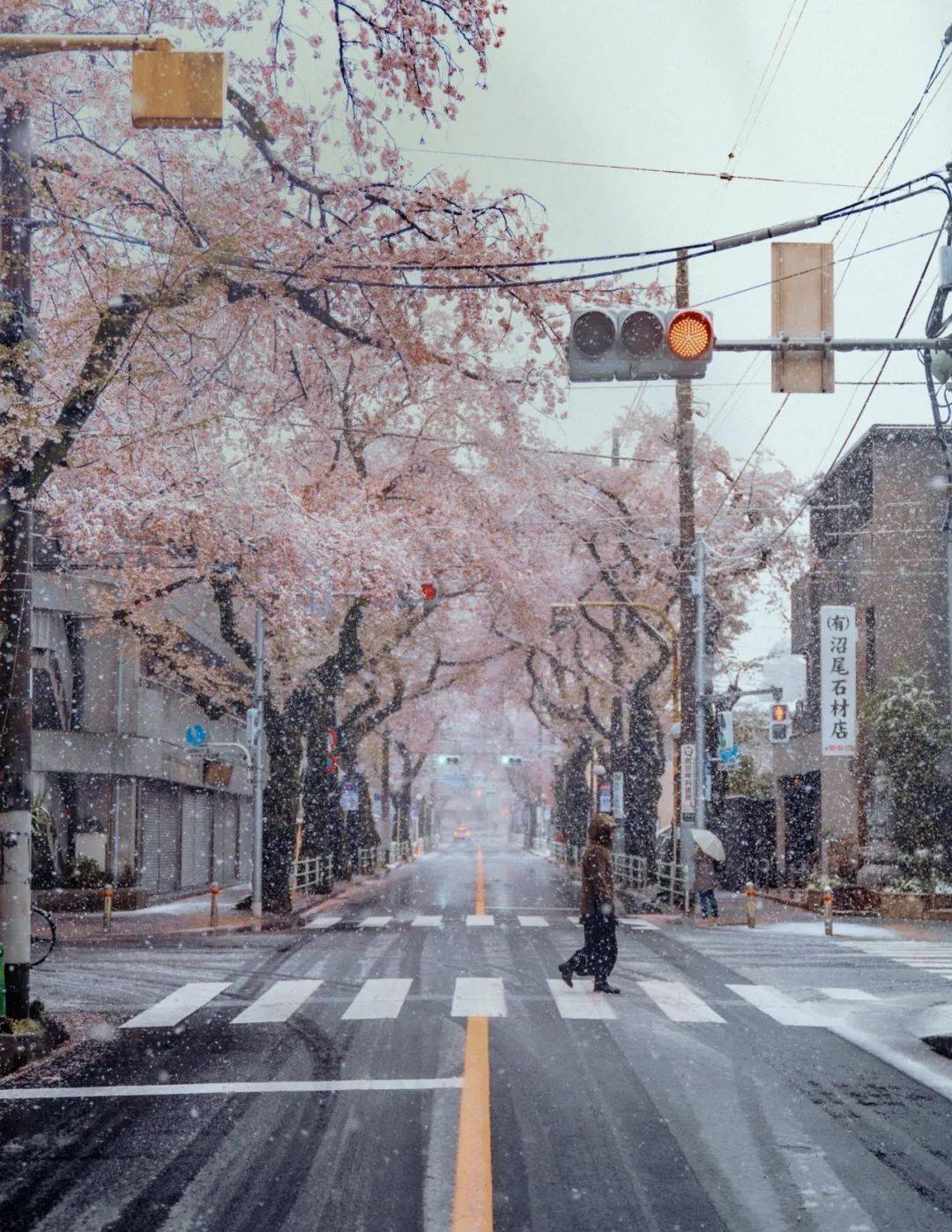 日本摄影师镜头里的夏天,有一种吉卜力动画的感觉