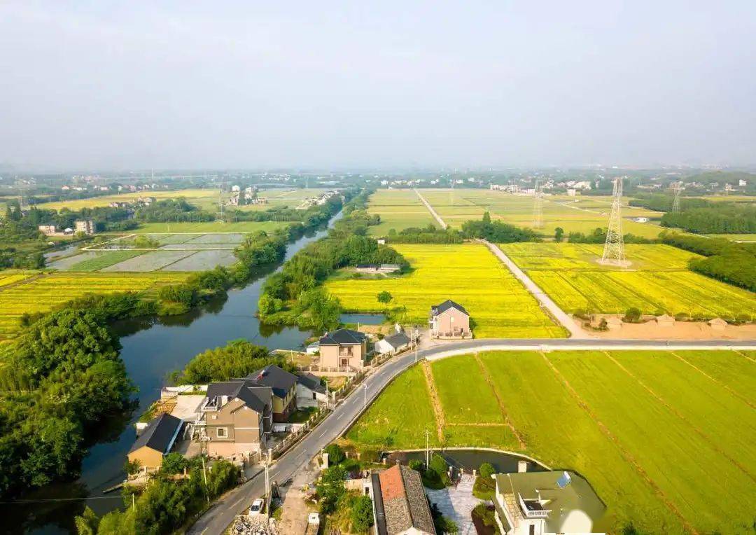 73号请您投票余杭区瓶窑镇全域土地综合整治与生态修复工程案例入围