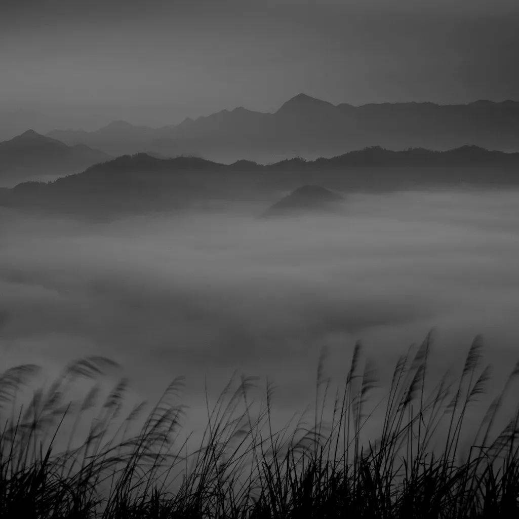 空雨记一场虚妄的雨在心上下了许多年