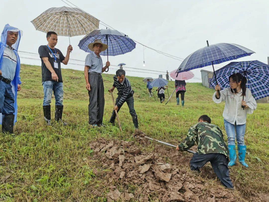 "老把式"老刀不老,南县防汛老水利老当益壮成风景