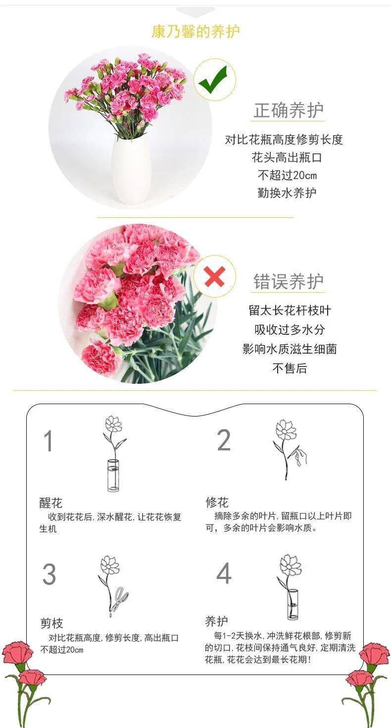 风铃花醒花步骤图片