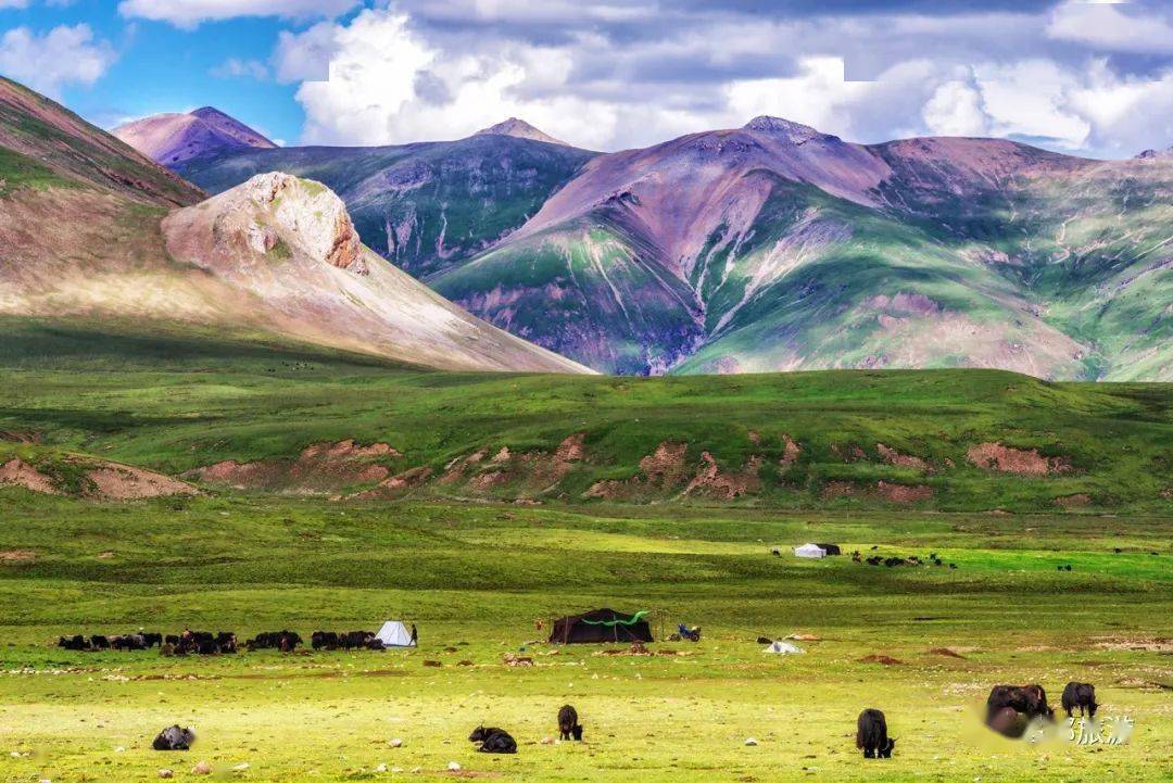 西藏昌都它叫布托湖镶嵌在布托卡草原的璀璨明珠