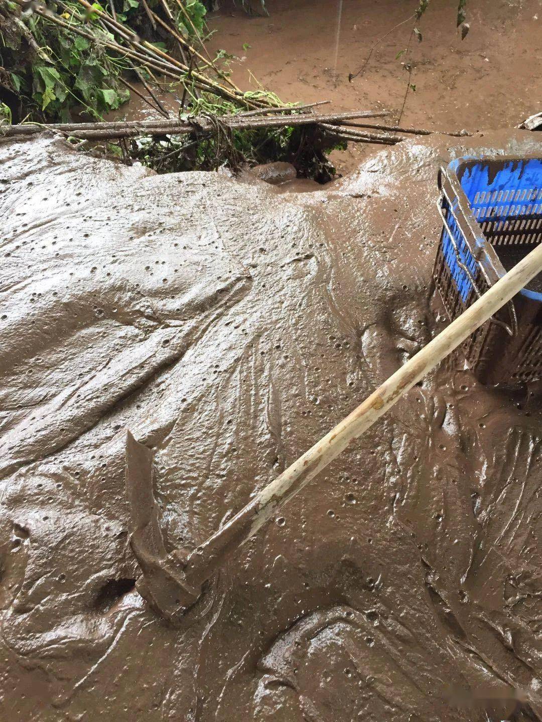 开州突降暴雨,导致河水暴涨,良田被淹没!_洪水