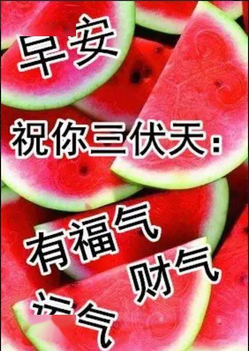 6张非常有创意的夏季早安问候图片带字带西瓜,漂亮的早上好表情祝福