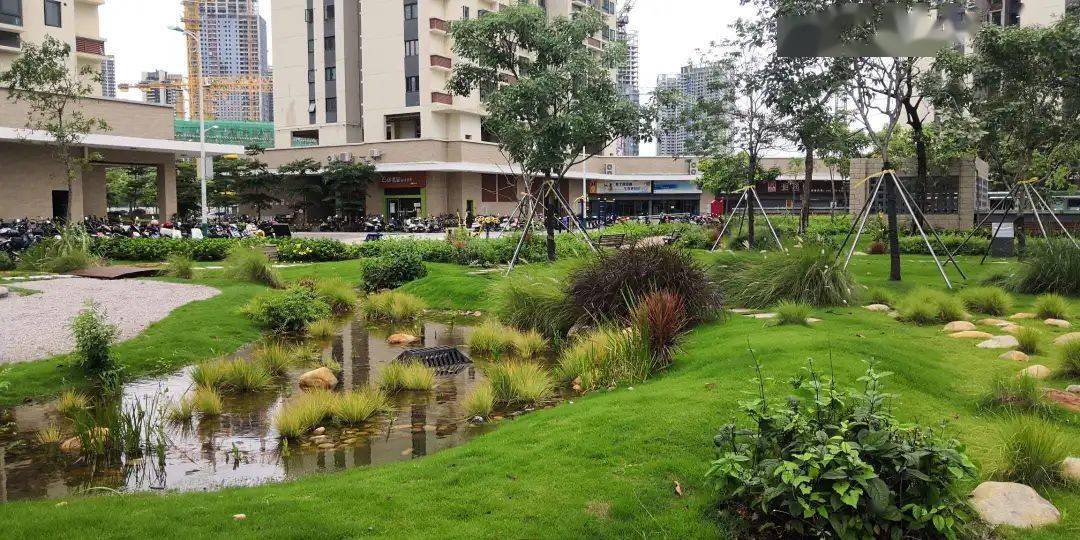 全国第一光明区凤凰片区在海绵城市试点绩效评价中夺冠