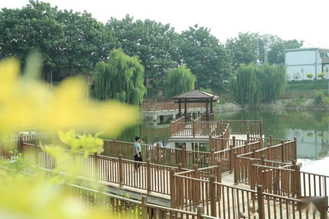 看广宗美丽乡村入画来